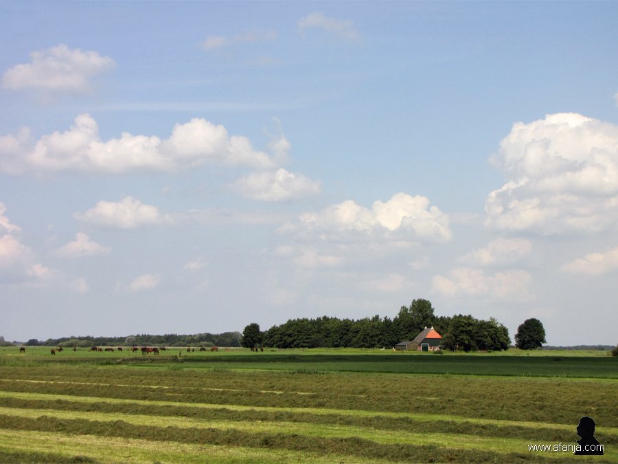 100806-1514x