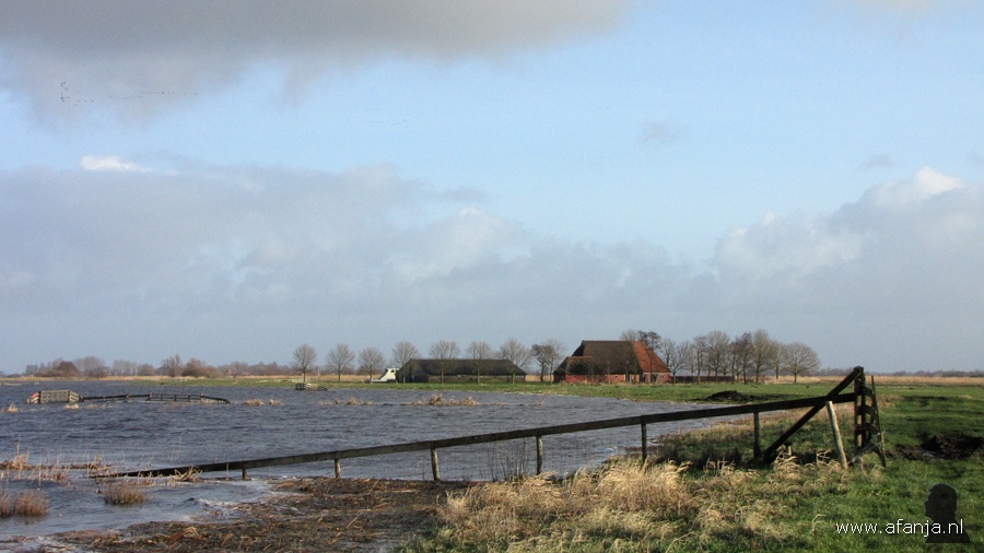 120106-1417x