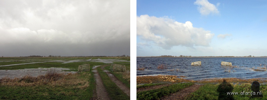 120105-1415x_120106-1355x