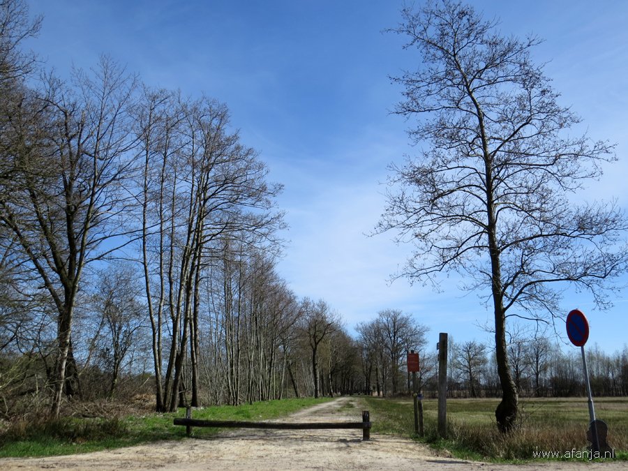 150420-1521x