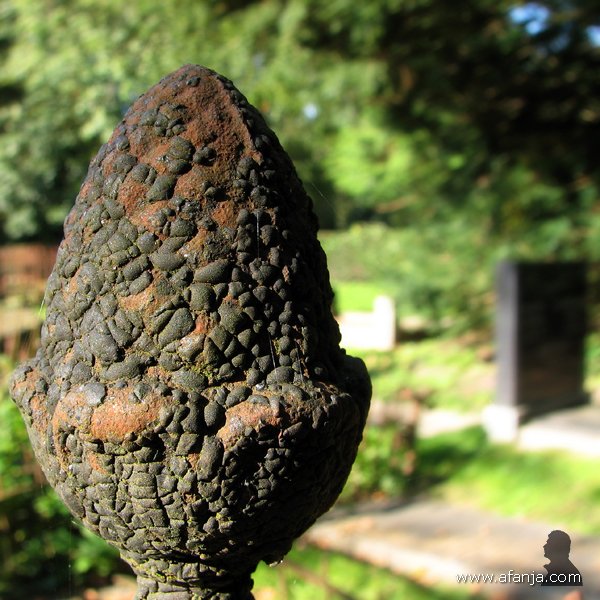 een lugubere dodenakker - 6