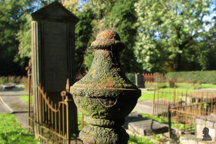 een lugubere dodenakker - 7