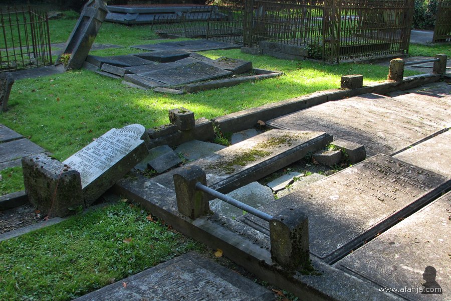 een lugubere dodenakker - 10