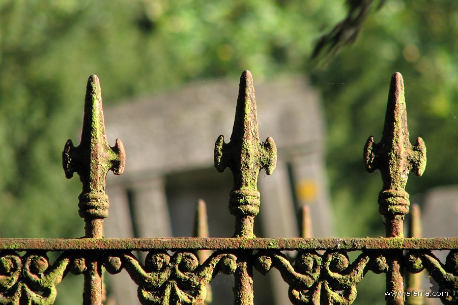 een lugubere dodenakker - 29