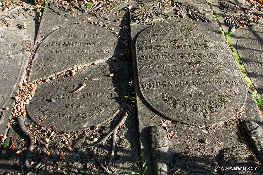 een lugubere dodenakker - 32