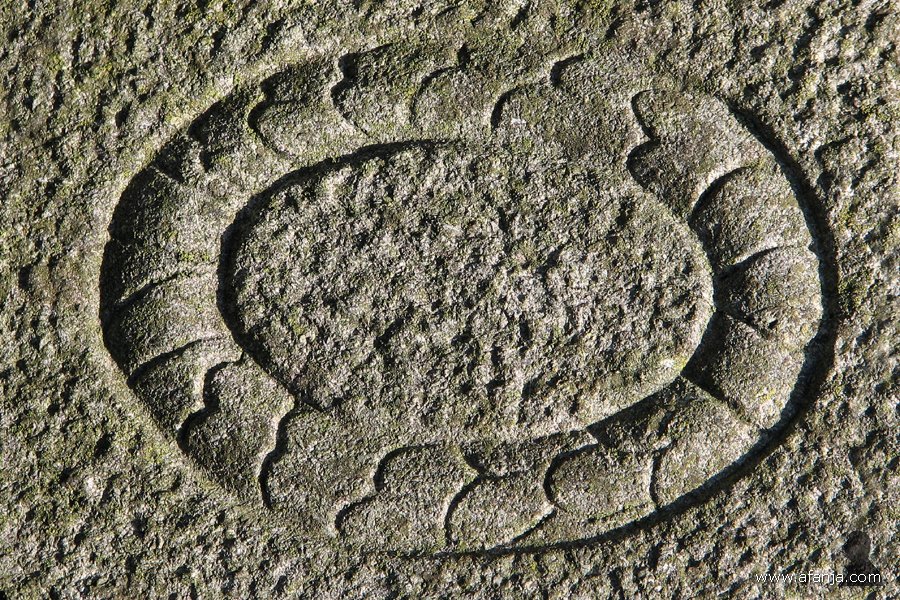 een lugubere dodenakker - 35