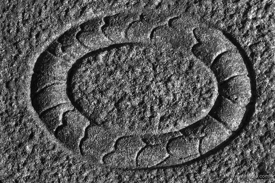 oude begraafplaats in zwartwit - 4