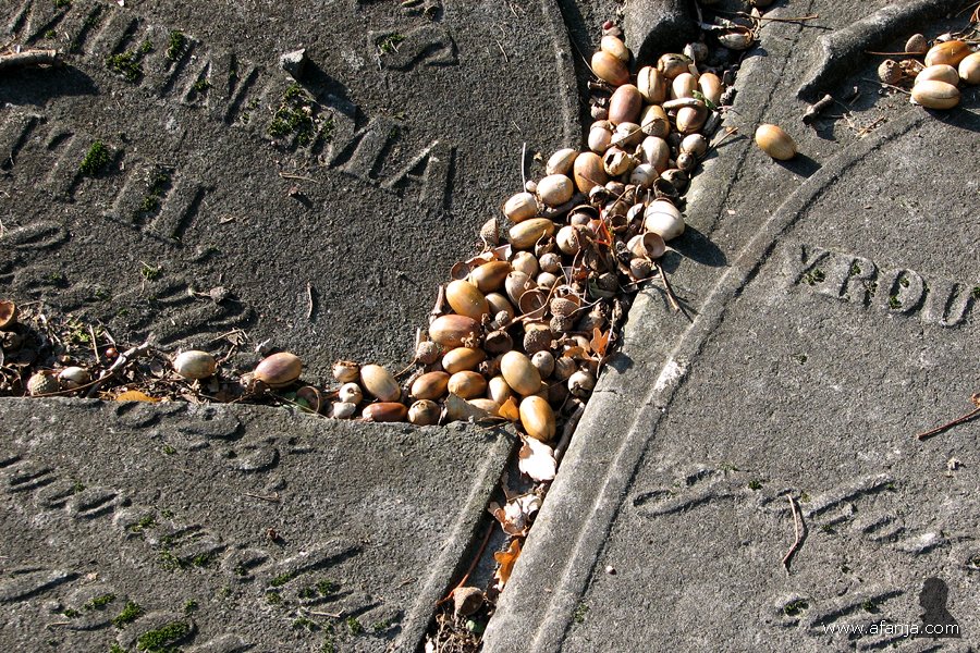 een lugubere dodenakker - 36