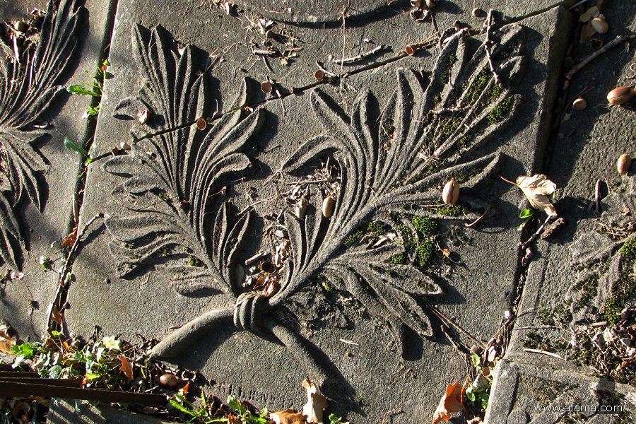 een lugubere dodenakker - 37