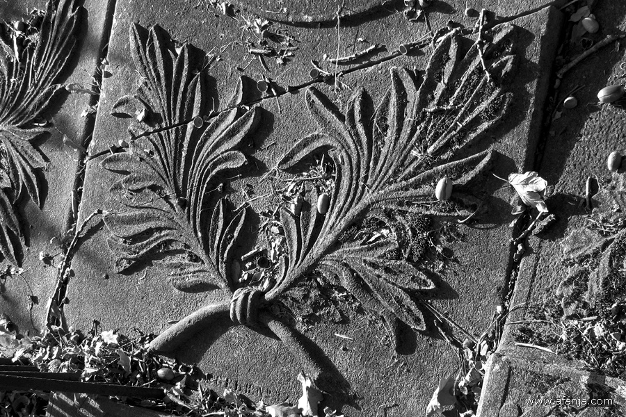 oude begraafplaats in zwartwit - 6