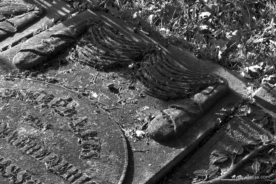 oude begraafplaats in zwartwit - 7