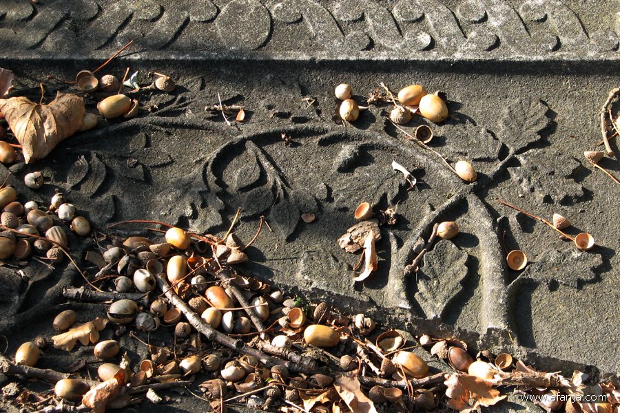 een lugubere dodenakker - 39