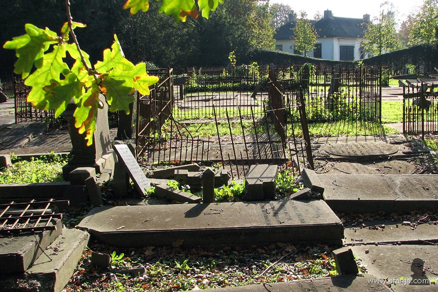 een lugubere dodenakker - 40