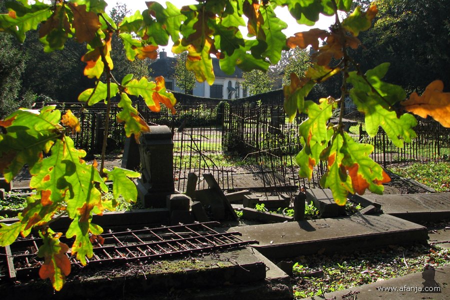 een lugubere dodenakker – 28