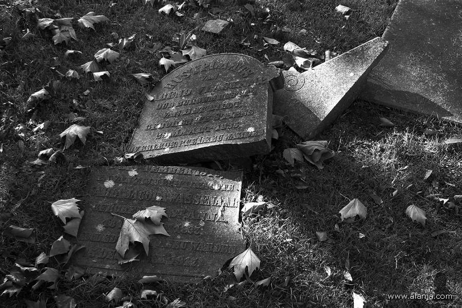 oude begraafplaats in zwartwit - 10