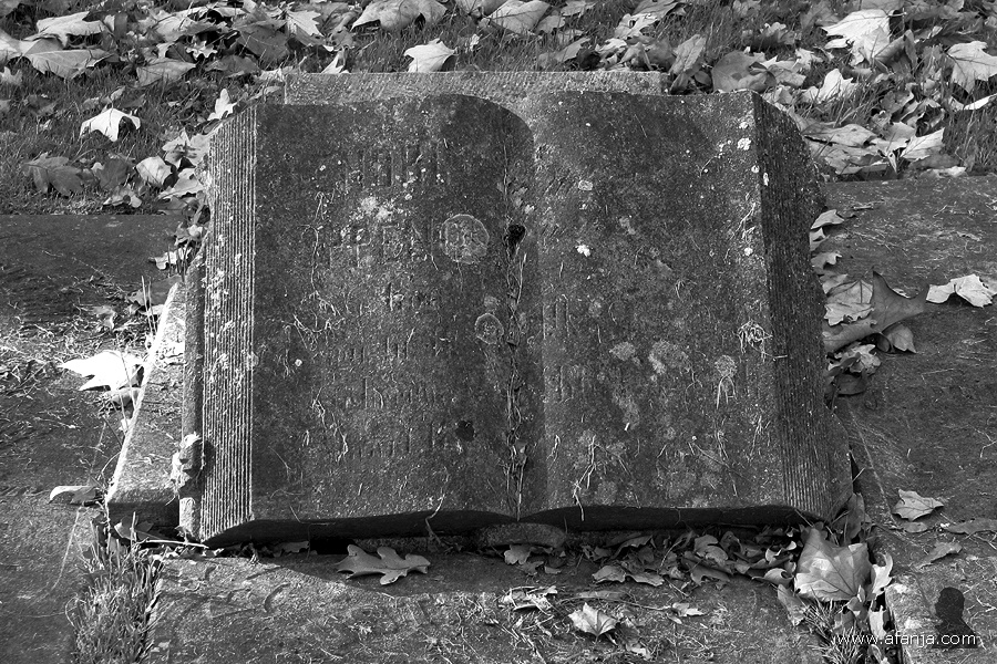 oude begraafplaats in zwartwit - 12