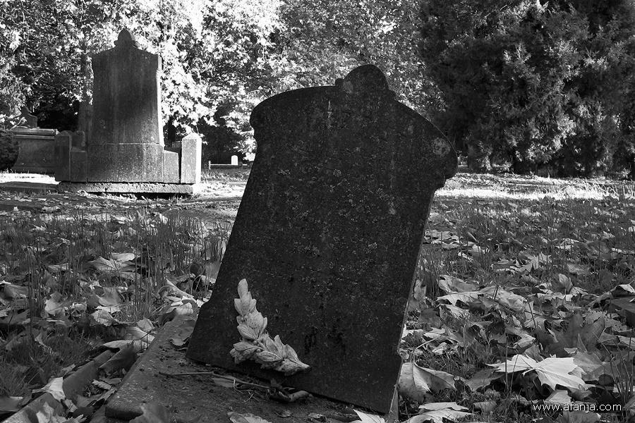oude begraafplaats in zwartwit - 13