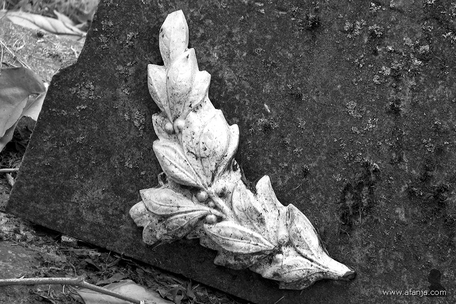 oude begraafplaats in zwartwit - 14