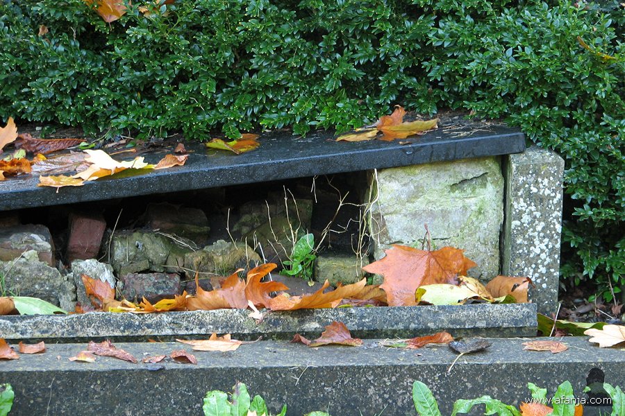 een lugubere dodenakker - 38