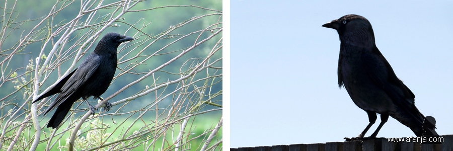 180509-1742x_180506-1354x