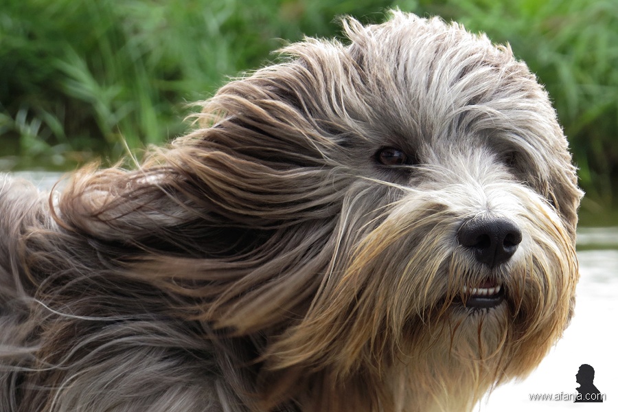 even lekker uitwaaien (4)