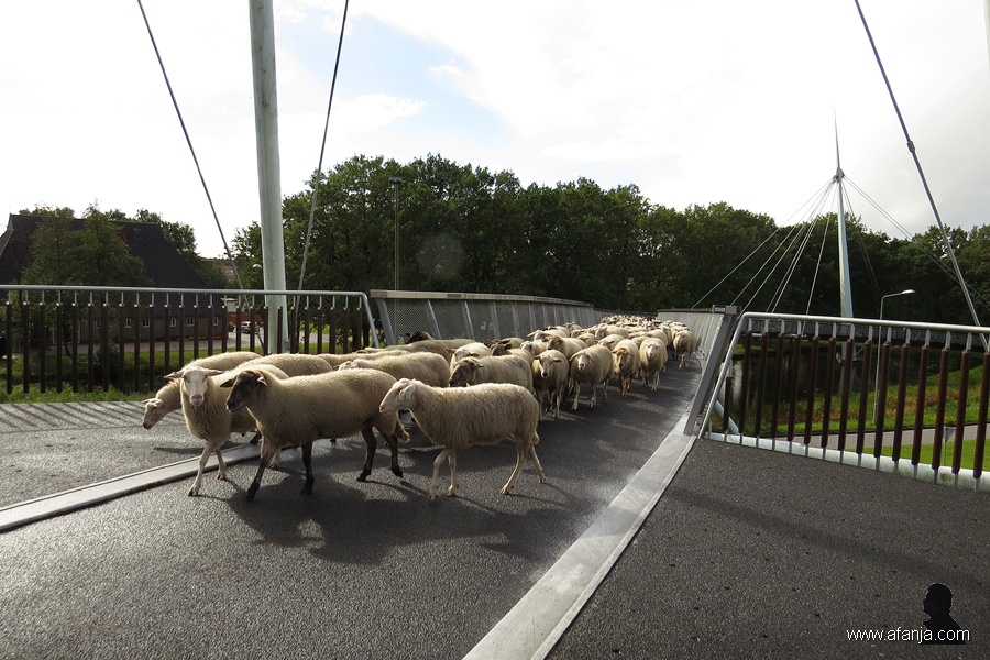 fietsbrug 'de Slinger' - 8 - bike bridge 'the Garland'