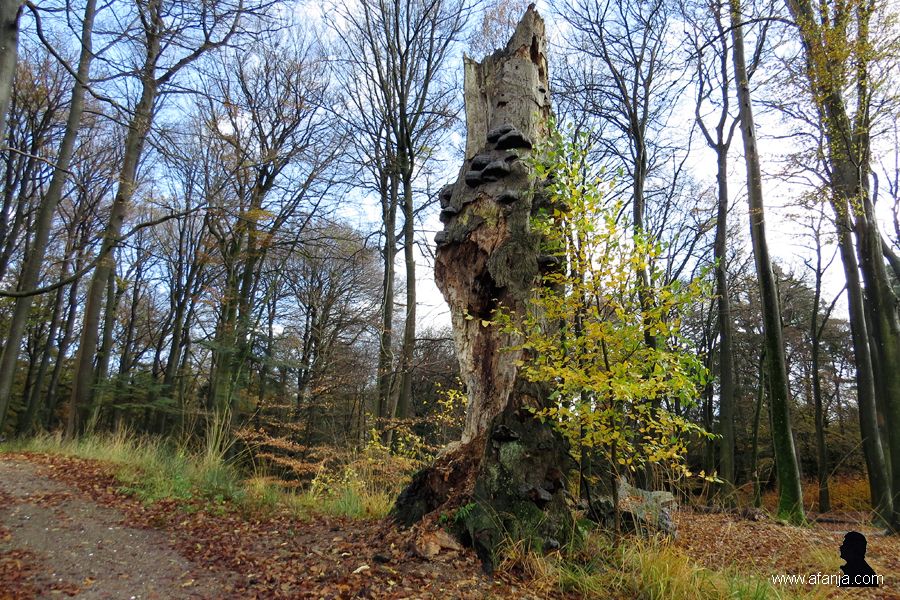 werk in uitvoering (1)