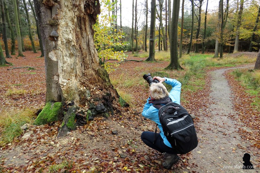 werk in uitvoering (4)