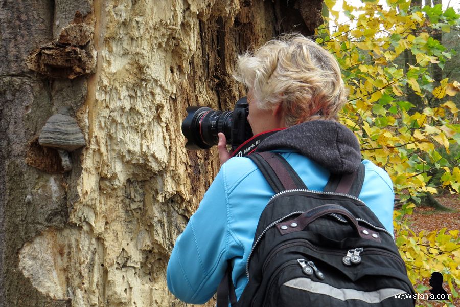 werk in uitvoering (6)