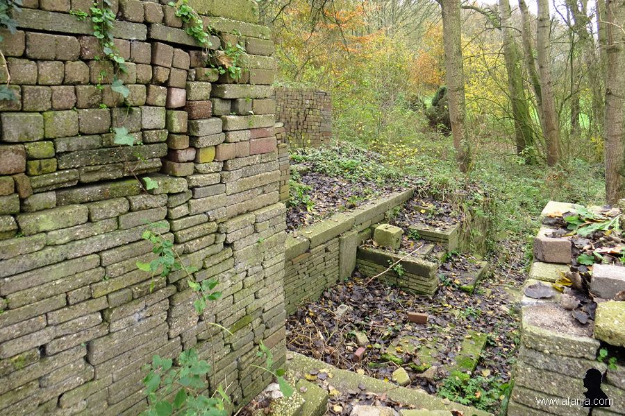 ecobasis (1)