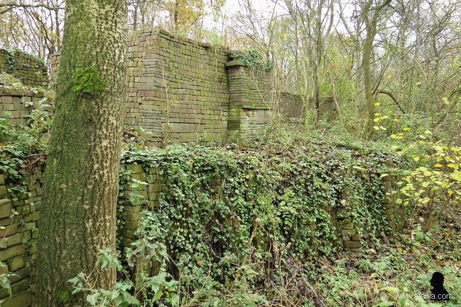 ecobasis (5)