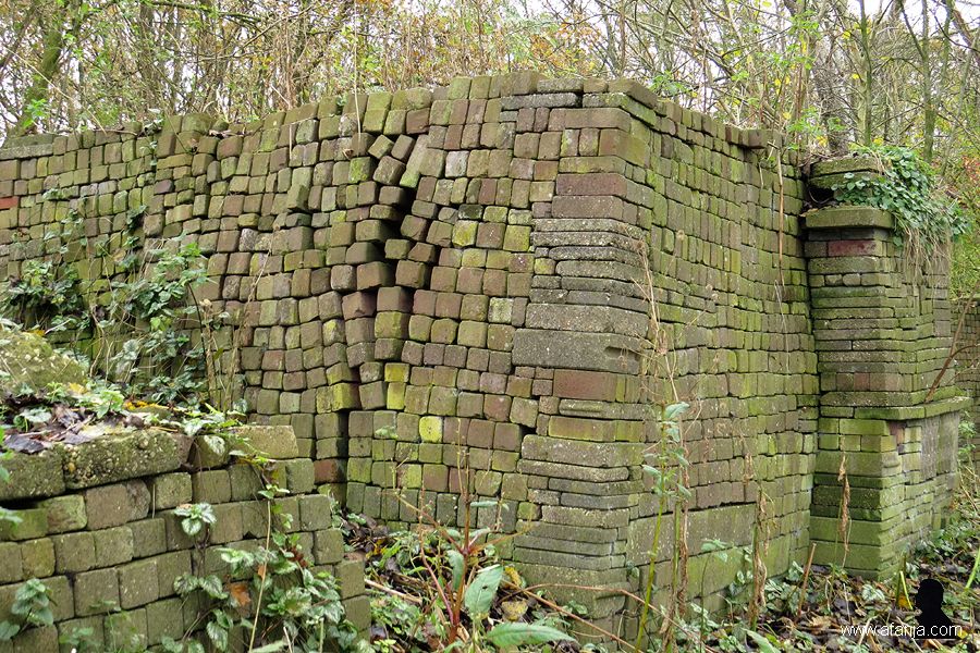 ecobasis (7)