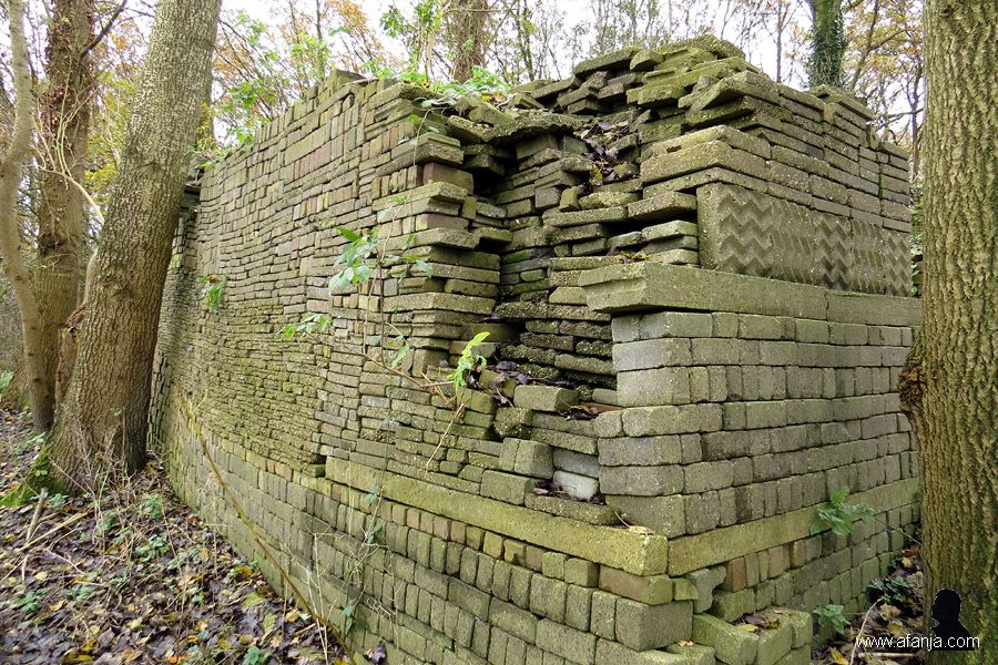 ecobasis (3)