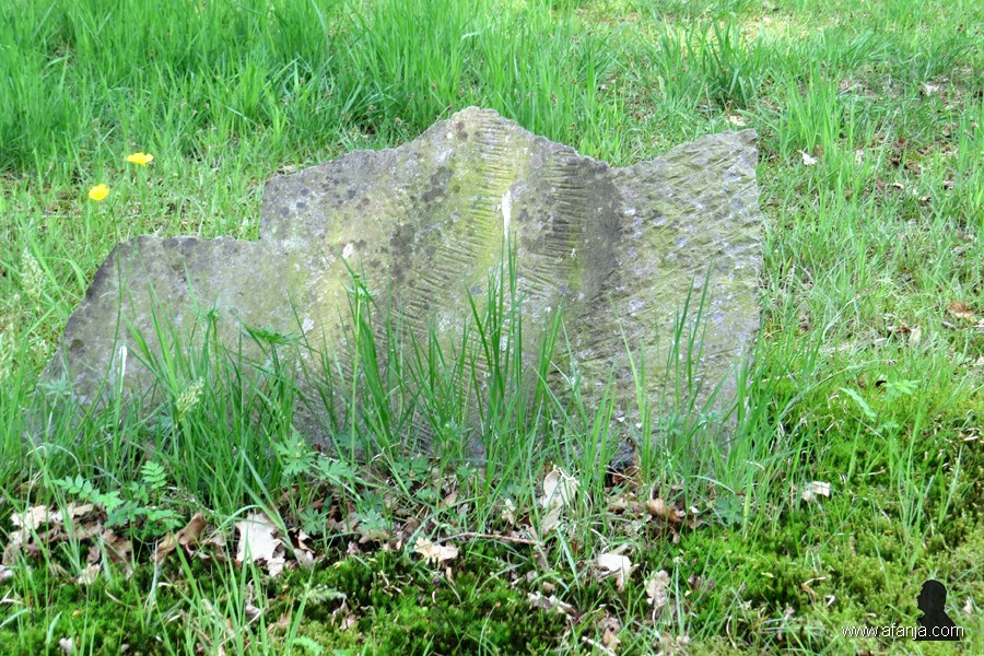 kunst in 't park (1)