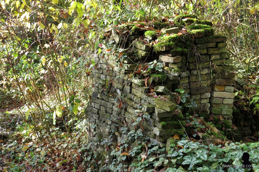 kardinaalsmutsen in de Ecokathedraal (5)
