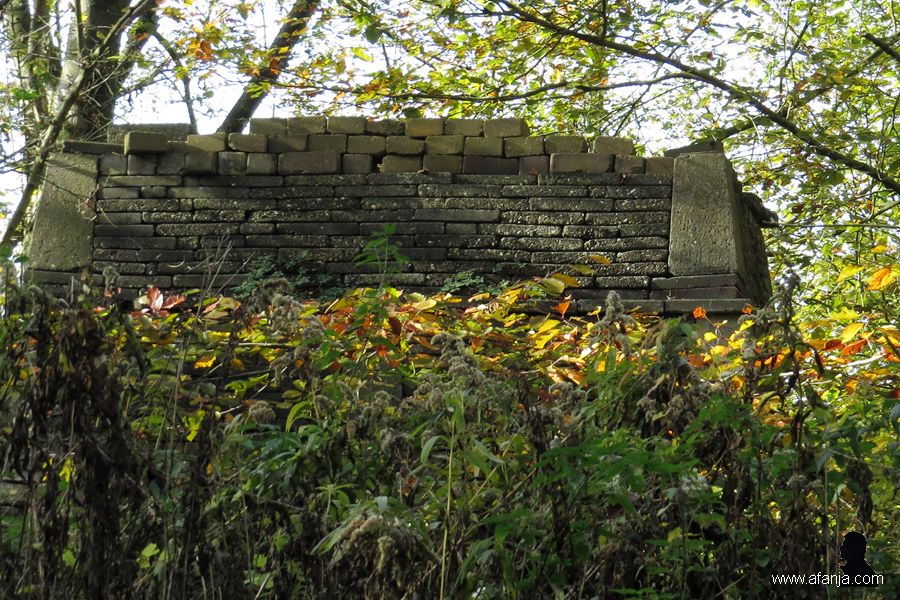 ecokathedrale herfst 1