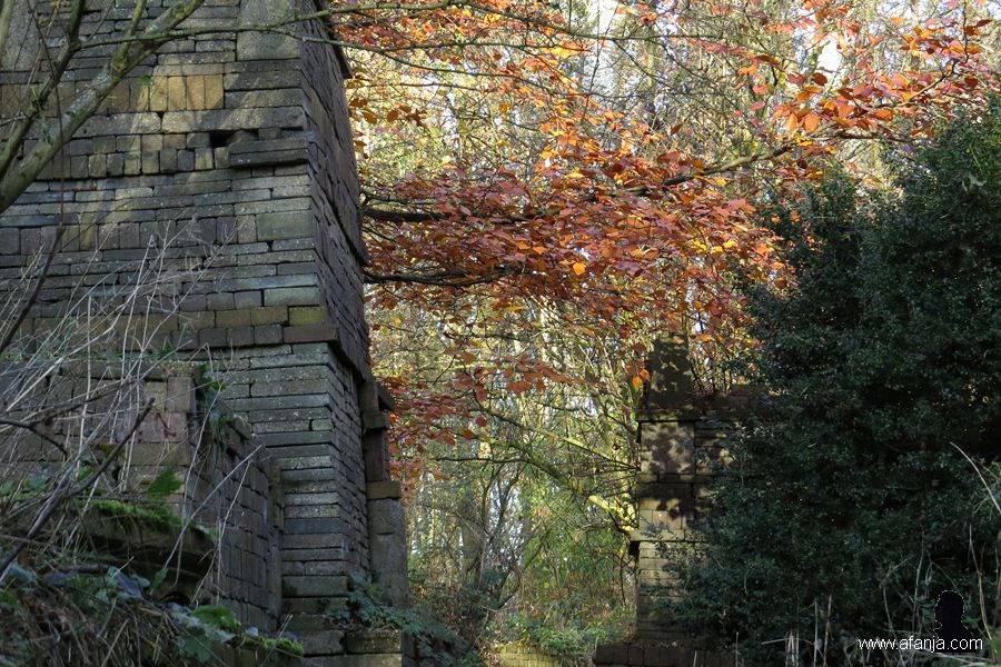 ecokathedrale herfst 2
