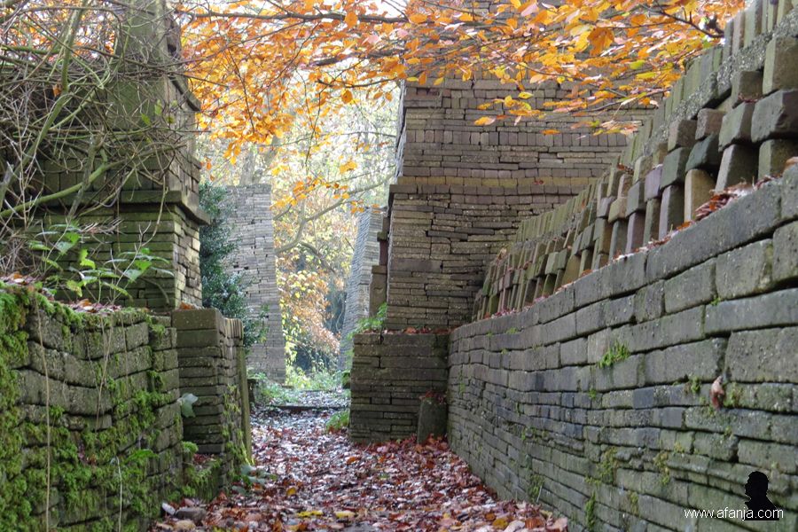 ecokathedraal november 2018