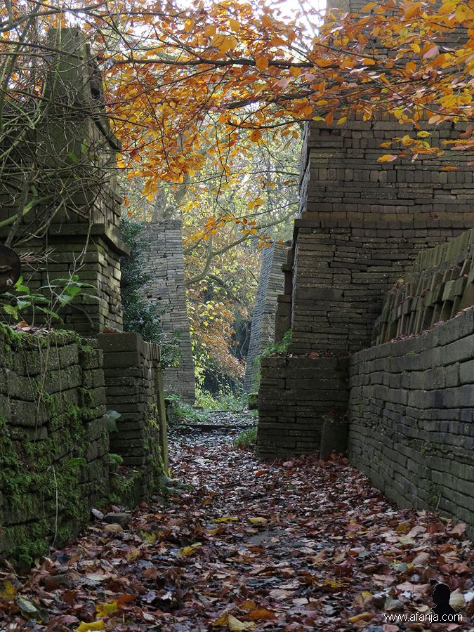 ecokathedrale herfst 4