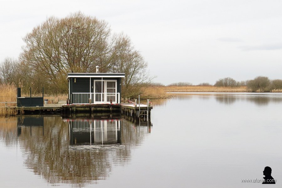 grijze weerspiegelingen - 5