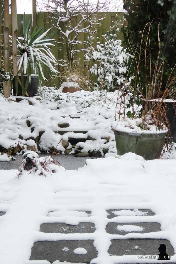 wintertuin 1