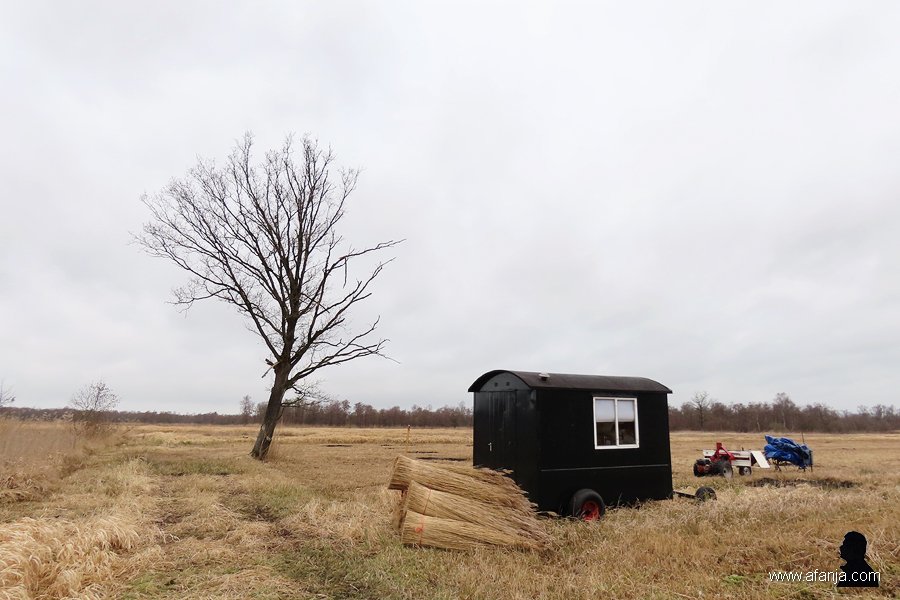 het bivak van de rietsnijder