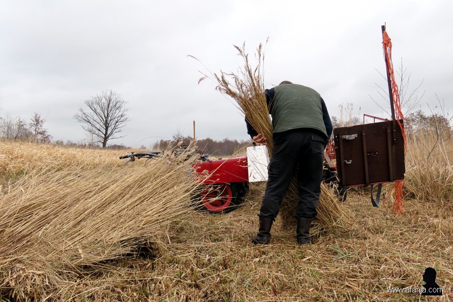 op naar de volgende bos