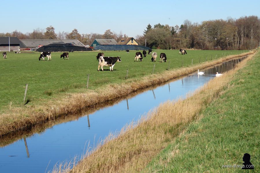 25-2-2019: kei yn it lân (1)