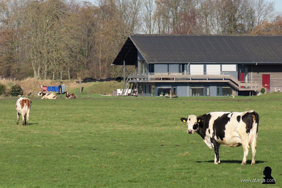 25-2-2019: kei yn it lân (7)