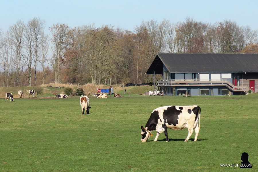 25-2-2019: kei yn it lân (2)