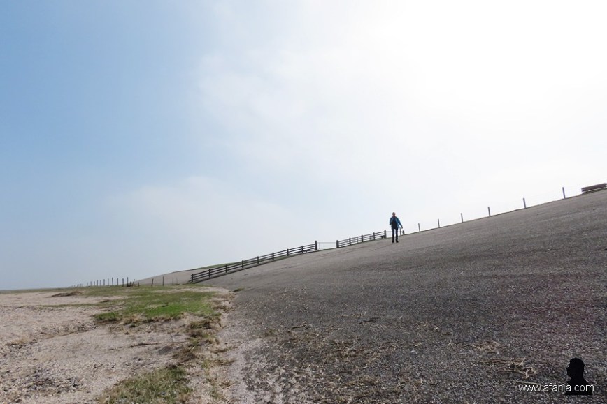 Jetske daalt af naar de oude palenrij