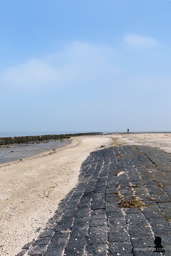 buitendijks gebied de Peazemerlannen (1)