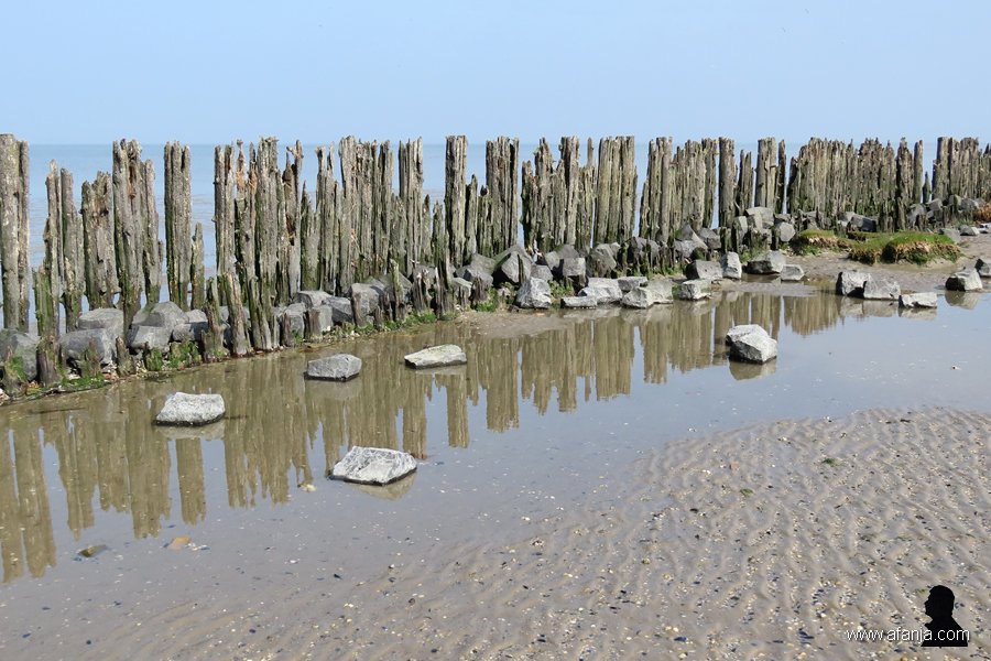 een oude palenrij (5)