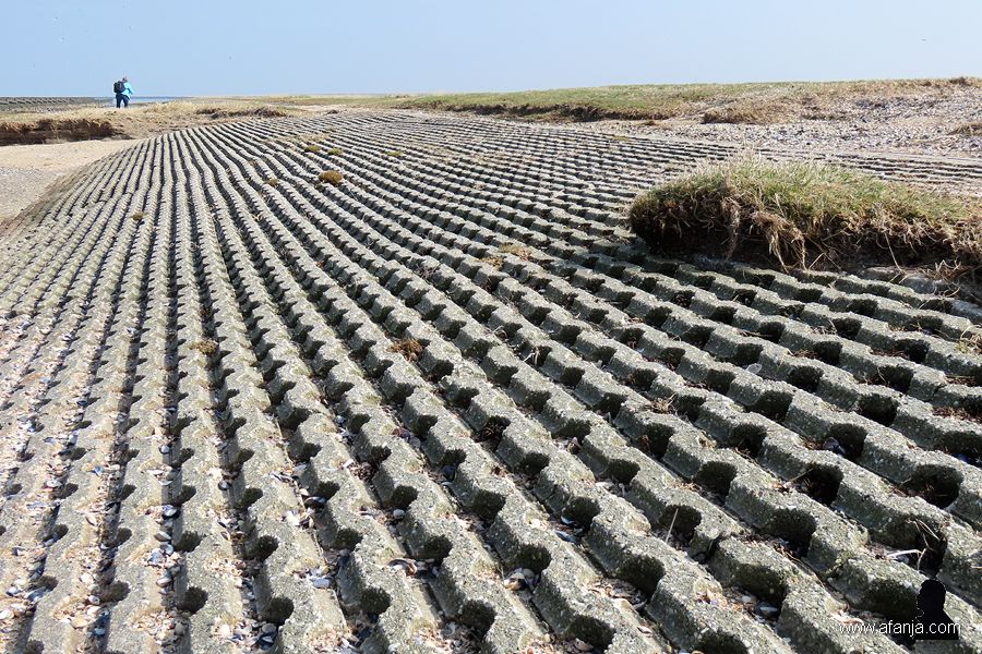 buitendijks gebied de Peazemerlannen (5)